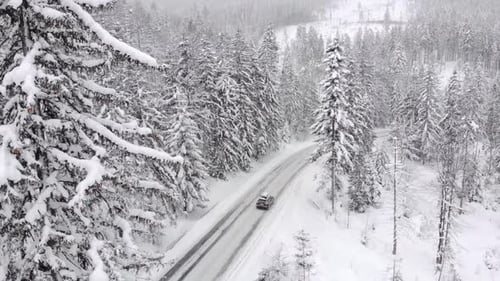Aerial View of a Vehicle Riding at Snowcovered Road Surrounded By Tall Evergreen Trees Showcasing