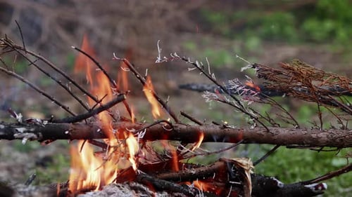 Abstraktes Eichenholz-Lagerfeuer in Flammen, Rauch und Asche 79