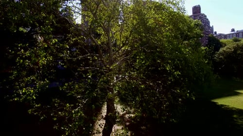 Aerial View of Urban City Skyline Metropolis