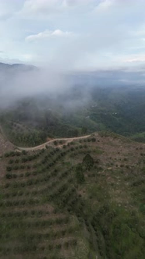 Aerial video over Salento towards a lush forested valley in the mountains of Colombia, Colombia