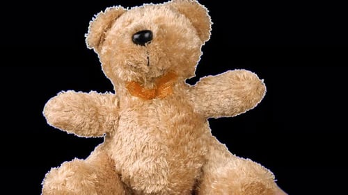 Stuffed and fluffy teddy toy brown bear playing and dancing. Alpha channel included.