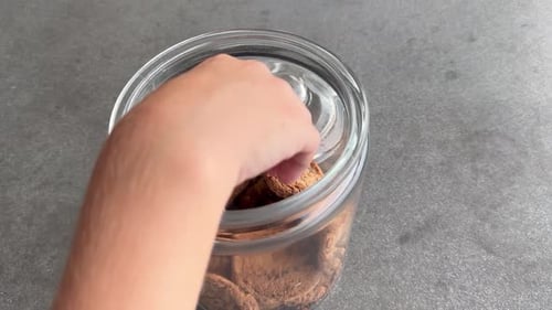 Hands Reach into Cookie Jar for Treats