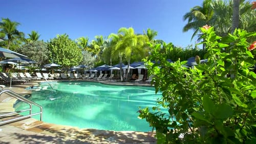 Resort Pool with Lounge Chairs and Umbrellas Aerial