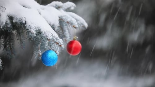 Red And Blue Christmas Balls Hanging On A Pine Tree While It's Snowing. - close up
