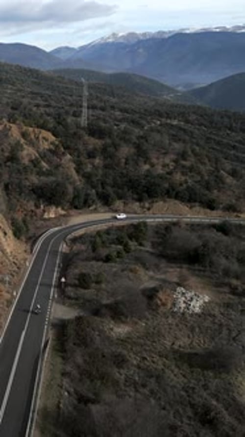 Drone View of a Road Through the Trees