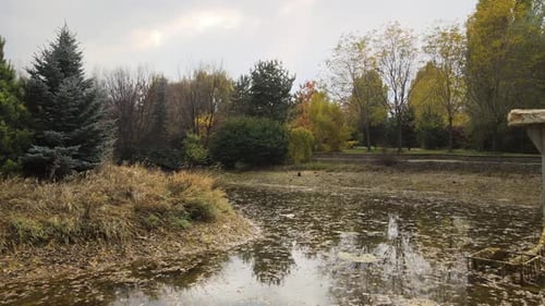 See im Herbst