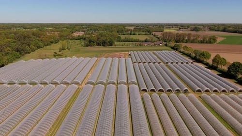 Vue aérienne de longs tunnels de serre parallèles, de sentiers herbeux, de terres agricoles environnantes, de parcelles forestières