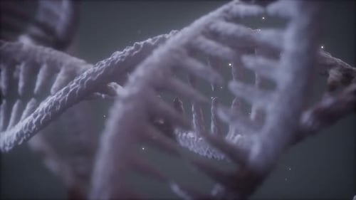 Double Helical Structure of Dna Strand Closeup Animation