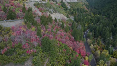American Fork Canyon in fall, colorful mountain forest trees, Utah Wasatch Range