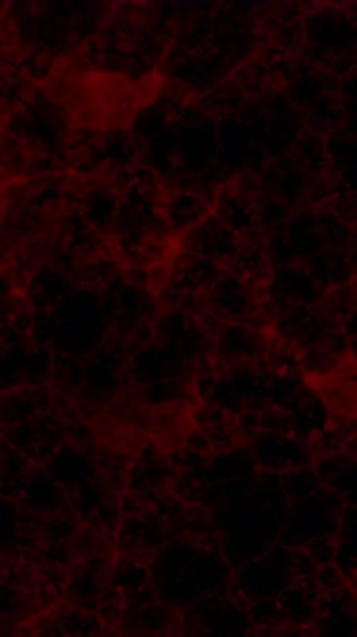 Red abstract cell grid loop
