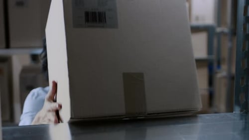 Female Warehouse Worker Takes Cardboard Box of a Shelf and Smiles Charmingly. In the Background Row