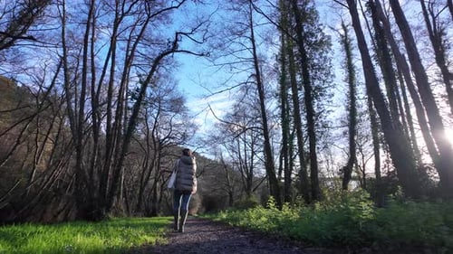Woman Forest Walk