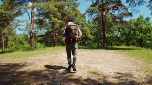 Asian Man Tourist Walking in Forest Young Hiker Traveling and Hiking Alone Guy Wearing Backpack