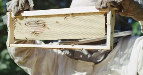 Mind your beeswax