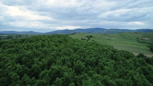 Aerial drone top view over the forest. Mountains in front.