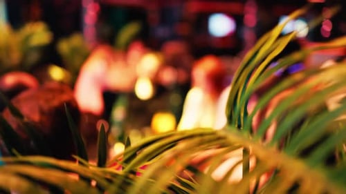 Blurred Party with Greenery at Urban Nightclub