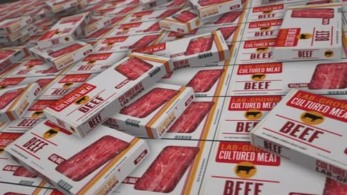 3D Animation of Lab-Grown Cultured Beef Packages