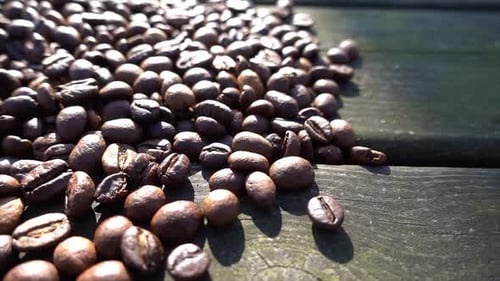 Close up of seeds of coffee 06