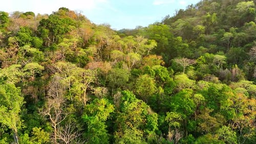 Majestic tropical forest on towering mountains by aerial view drone.