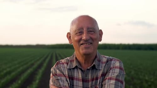 Portrait of senior farmer standing in corn field looking at camera at sunset.