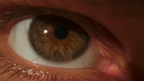 Schönes Männerauge mit brauner Iris und Netzhaut