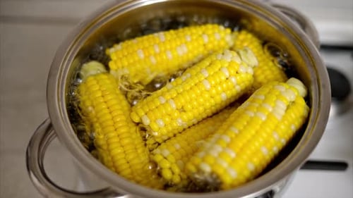Corn on the Cob Boiling in Silver Pot