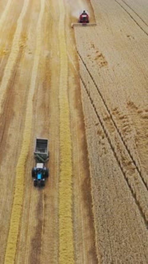 Grain harvest combine harvester. Aerial view of combine harvesting wheat