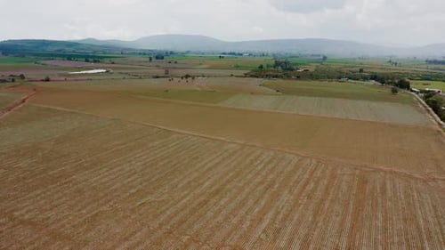 Wide aerial drone view of vast fields of newly planted corn, wheat, barley agricultural farms with