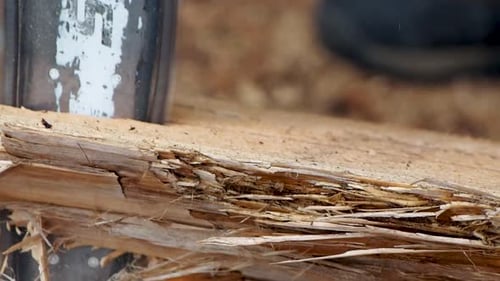 Close up of chain saw blade cutting wood