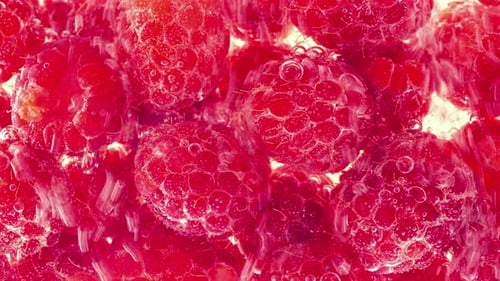 Raspberries Sparkling in Water Close Up Footage