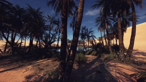 Calm Oasis Amid Dunes with Vibrant Foliage and Peaceful Waters