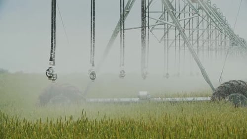 Pivot Irrigation System on a Summer Day Water Spray From Irrigation Pivot