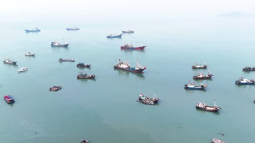 Aerial shot of industrial fishing boats anchored at the Xiapu coastline, Hebei Province, China