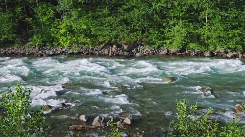 Mountain River in Summer A Powerful Fast Stream of Clear Water Pours Through River Rapids and Stones