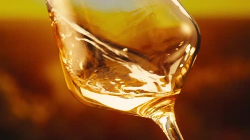 Orange or White Wine Bottle and Glass Against a Sunset in a Peaceful Vineyard Pouring of Ecological