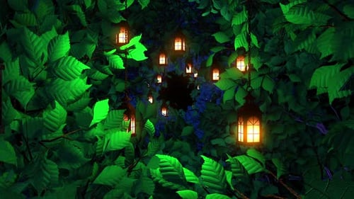 Deep Forest With Lanterns