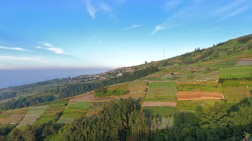 Aerial view of scenic hillside cultivation patterns under clear blue sky