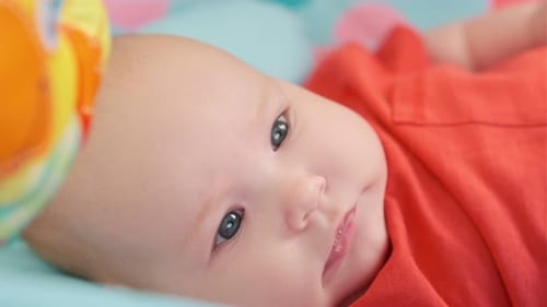 Portrait of Cute Baby a Newborn Girl Playing in the Room