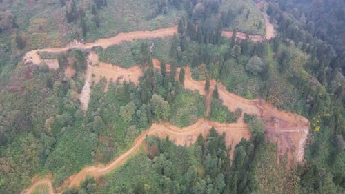 Zerstörte Wälder