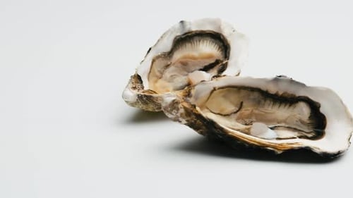 Oysters with Lemon Isolated on White Background