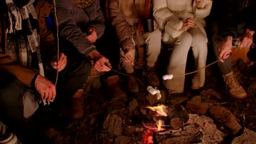 Friends Sitting Around a Campfire in the Woods on a Winter Evening