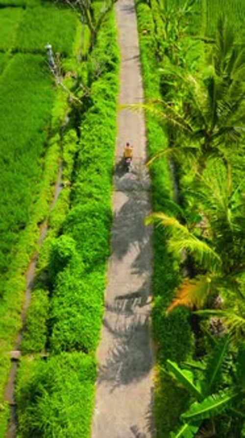 Scenic Scooter Ride Through Lush Green Rural Landscape