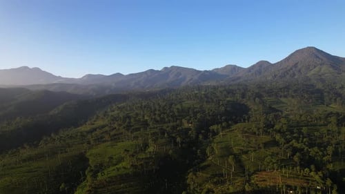 Luftaufnahme, Berg, Pagilaran Batang, Zentral-Java