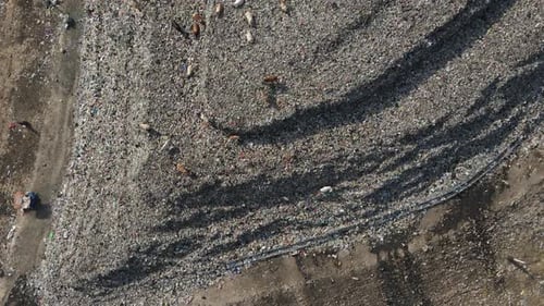 Aerial view, mountains of garbage piled up at the Piyungan landfill, Yogyakarta. Emergency waste