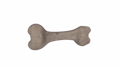 Dog Bone 3d food object rotating loop