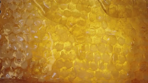 Langsam tropfende Honigströme auf die goldenen Naturwaben, Nahaufnahme.
