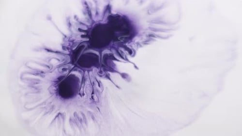 Ink Wet Drop Pigment Splash Splatter Liquid Spray