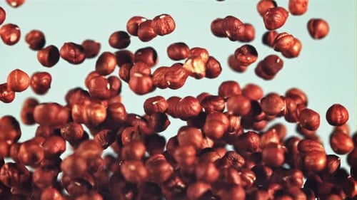 Shelled Hazelnuts Floating Against Light Blue Backdrop
