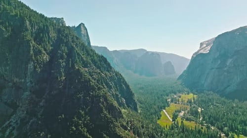 Overlooking Yosemite Valley in Background on a perfect sunny Summer Day
