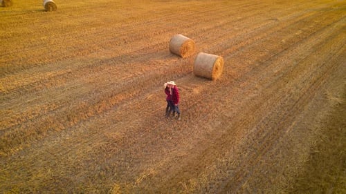 Man and Woman at Sunset Beautiful Girl Kisses Guy in a Harvested Field with Straw Round Bales Aerial
